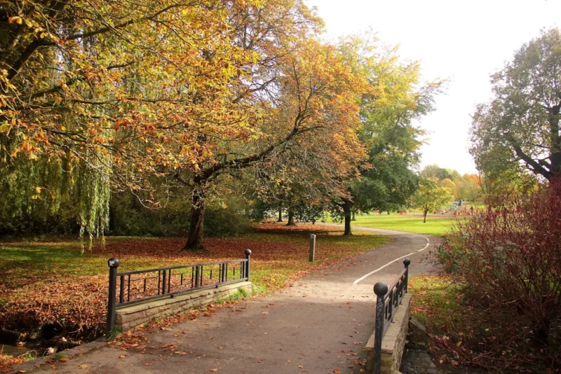 tudor-grange-park
